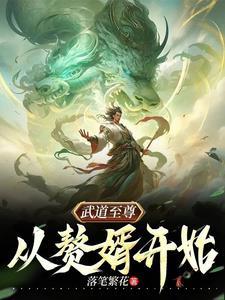 武道至尊 复制