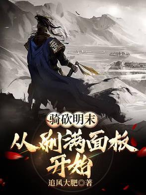 骑马与砍杀明末风云npc组合