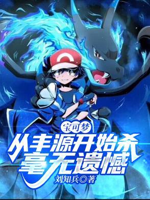 神奇宝贝丰源攻略