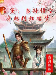 穿越红楼梦的男主