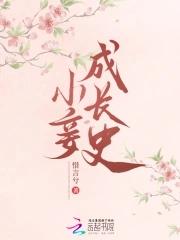小妾修成日记好看吗
