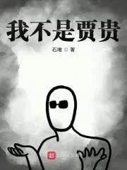 我不是贾贵TXT