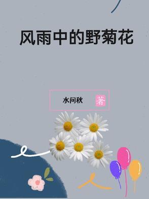 风雨中的菊花模糊说明了什么