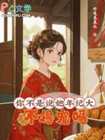 深宫谍影电视剧免费观看完整版