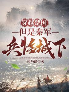 穿越楚汉