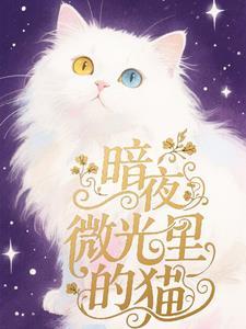 暗夜猫猫的微博