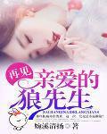 亲爱的狼先生婉溪清扬