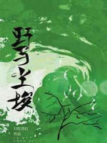 偏惹神君落泪免费阅读无弹窗全文