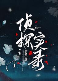 侦探实录分集剧情