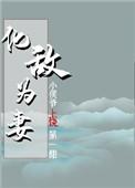 化敌为妻免费阅读