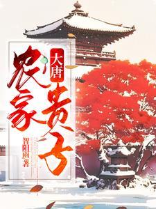 替身女婿免费读