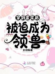 天外飞仙的歌曲有哪些
