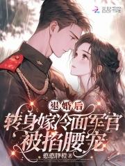 四合院之扮猪吃老虎笔趣阁