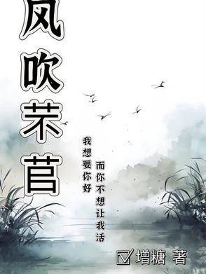 弹幕推荐