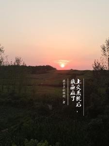 道医苏子阳epub