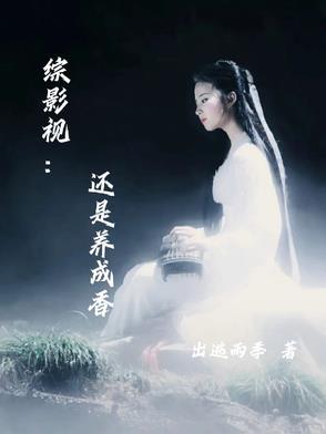 我的将军生涯王守备结局