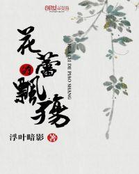lv的丝巾多少钱一条