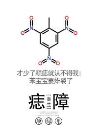 杨家将外传