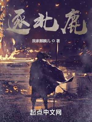 九色神雷转