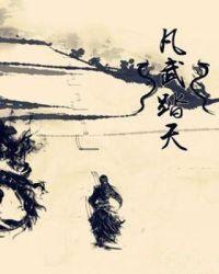 凡武踏天