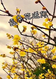双瞳国师