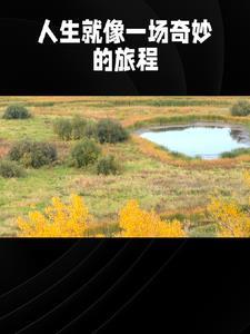 长安春