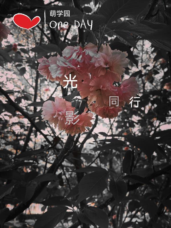 甲子韵芳菲