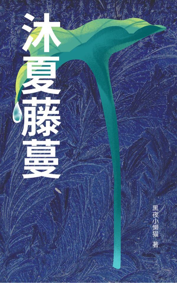 农家悍妇:带着空间来种田